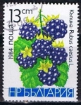 Stamps Bulgaria -  Scott  2967   moras silvestres (2)