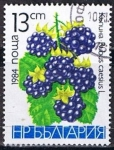 Stamps Bulgaria -  Scott  2967   moras silvestres (3)