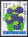 Sellos de Europa - Bulgaria -  Scott  2967   moras silvestres (3)