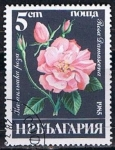Stamps Bulgaria -  Scott  3075  Rosa damascena (2)