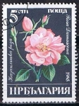 Sellos de Europa - Bulgaria -  Scott  3075  Rosa damascena (3)