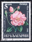 Stamps Bulgaria -  Scott  3075  Rosa damascena (5)
