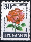 Stamps Bulgaria -  Scott  3078  Rosa marista (3)