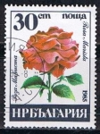 Sellos de Europa - Bulgaria -  Scott  3078  Rosa marista (4)