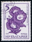 Sellos de Europa - Bulgaria -  Scott  3107  Flores (Convolvulus tricolor)