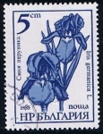 Stamps Bulgaria -  Scott  3107  Flores (Convolvulus tricolor) (2)