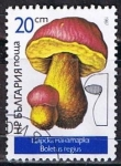 Sellos de Europa - Bulgaria -  Scott  3233  Boletus regius (7)