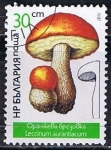 Stamps Bulgaria -  Scott  3234  Leccinum aurantiacun (2)
