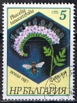 Stamps Bulgaria -  Scott  3266  Phacelia tanacetifolia