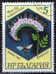 Stamps Bulgaria -  Scott  3266  Phacelia tanacetifolia (3)