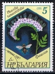 Sellos de Europa - Bulgaria -  Scott  3266  Phacelia tanacetifolia (5)