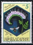 Sellos de Europa - Bulgaria -  Scott  3266  Phacelia tanacetifolia (7)