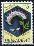 Stamps Bulgaria -  Scott  3266  Phacelia tanacetifolia (9)