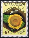 Stamps Bulgaria -  Scott  3267  Girasol (2)