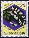 Stamps Bulgaria -  Scott  3268  Robinia pseudoacacia (4)