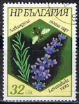 Stamps Bulgaria -  Scott  3269  Lavandura vera (2)