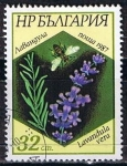 Stamps : Europe : Bulgaria :  Scott  3269  Lavandura vera (4)