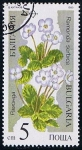 Stamps : Europe : Bulgaria :  Scott  3392  ramonda serbica