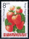 Stamps Bulgaria -  Scott  2966  Fresas