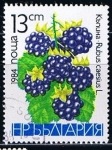 Sellos de Europa - Bulgaria -  Scott  2967   moras silvestres