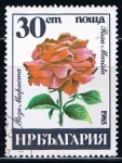 Sellos de Europa - Bulgaria -  Scott  3078  Rosa marista