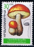 Sellos de Europa - Bulgaria -  Scott  3234  Leccinum aurantiacun