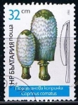 Stamps Bulgaria -  Scott  3235  Coprinus comatus
