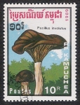 Stamps Cambodia -  SETAS-HONGOS: 1.171.015,00-Paxillus involutus