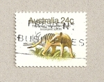 Stamps Australia -  Tigre de Tasmania