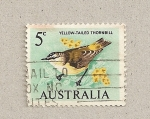 Sellos de Oceania - Australia -  Ave cola amarilla de espina