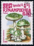 Stamps Cambodia -  Amanita panterina