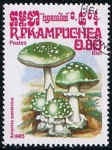 Sellos de Asia - Camboya -  Amanita panterina