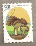 Stamps Cuba -  Setas