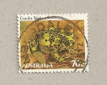 Stamps Australia -  Sapo crucifijo