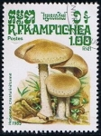 Stamps Cambodia -  Hebelona crustutiniforme