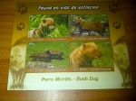 Stamps : America : Peru :  fauna en extincion