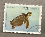 Stamps : America : Cuba :  Tortugas