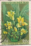 Stamps Belize -  Orchids of Belize