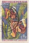 Stamps America - Belize -  Orchids of Belize