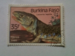 Stamps Burkina Faso -  lacerta lepida
