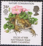 Stamps United Kingdom -  EUROPA 1986. SAPO CORREDOR