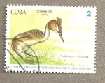 Stamps : America : Cuba :  Ave Exposición Filatelica Nueva Zelanda