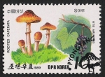 Stamps : Asia : North_Korea :  SETAS-HONGOS: 1.205.041,01-Recites caperata -Phil.41617-Dm.989.19-Y&T.2032-Mch.2999-Sc.2815