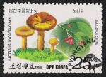Stamps : Asia : North_Korea :  SETAS-HONGOS: 1.205.043,01-Lactarius Hygrophoroides -Phil.53498-Dm.989.21-Y&T.2034-Mch.3001-Sc.2817