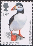 Stamps United Kingdom -  PÁJAROS. FRAILECILLO