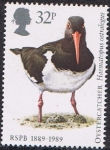 Stamps United Kingdom -  PÁJAROS. OSTRERO
