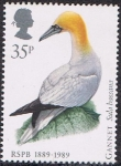 Stamps United Kingdom -  PÁJAROS. MASCATO