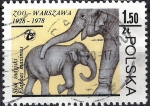 Stamps : Europe : Poland :  50 Aniversario del Zoológico de Varsovia. Elefantes.