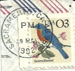 Sellos del Mundo : America : Estados_Unidos : Fauna -Eastern Bluebird