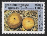 Stamps Cambodia -  SETAS-HONGOS: 1.124.055,01-Lycoperdon unbrinum